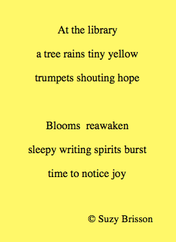 Screen Shot 2019-04-01 at 8.46.47 PM